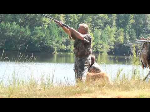 Gun Dog Broker at Old South HRC, Richard running Grady in started water test pheasant's tears winery