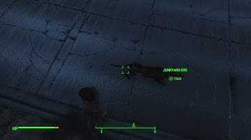 Fallout 4: I got a second dog
