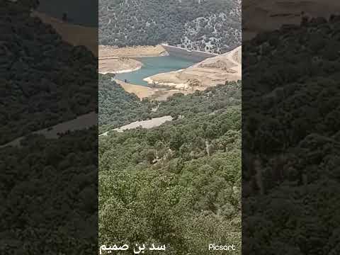 الغابة جبال الاطلس الشامخة اكسبلور