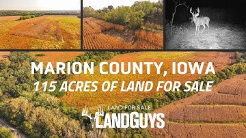 115-acre Marion County farm offering $25K annual CRP income, strong soils, and premier hunting