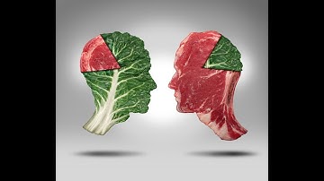 The meat paradox: how your brain wrestles with the ethics of eating animals