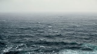 An Interislander ferry has run aground in New Zealand