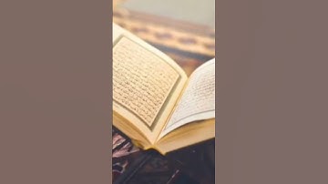روائع سورة البقرة مع ياسر الدوسري