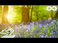 Relaxing Piano Music -  Beautiful Relaxing Music, Sleep Music & Study Music