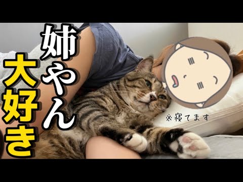 22歳一人暮らし。元ボス猫を家族に迎えたら腕まくらが大好きなただの