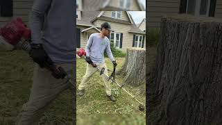 Amazing Clean Up #sbmowing