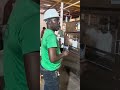 Liquid detergent filling line successfully commissioned.