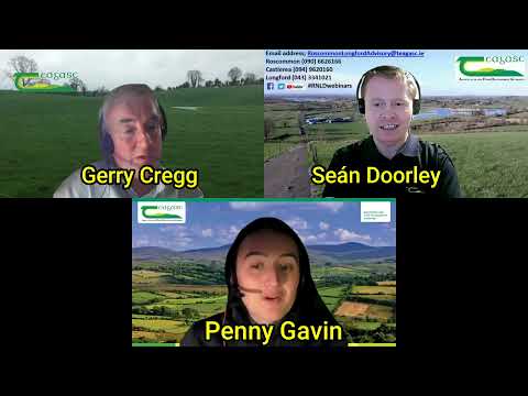 Beef webinar November 2021