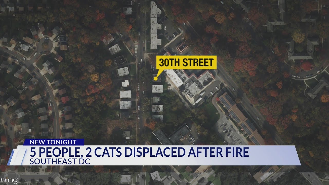 Fire leaves 5 people, 2 cats displaced in Southeast DC - YouTube