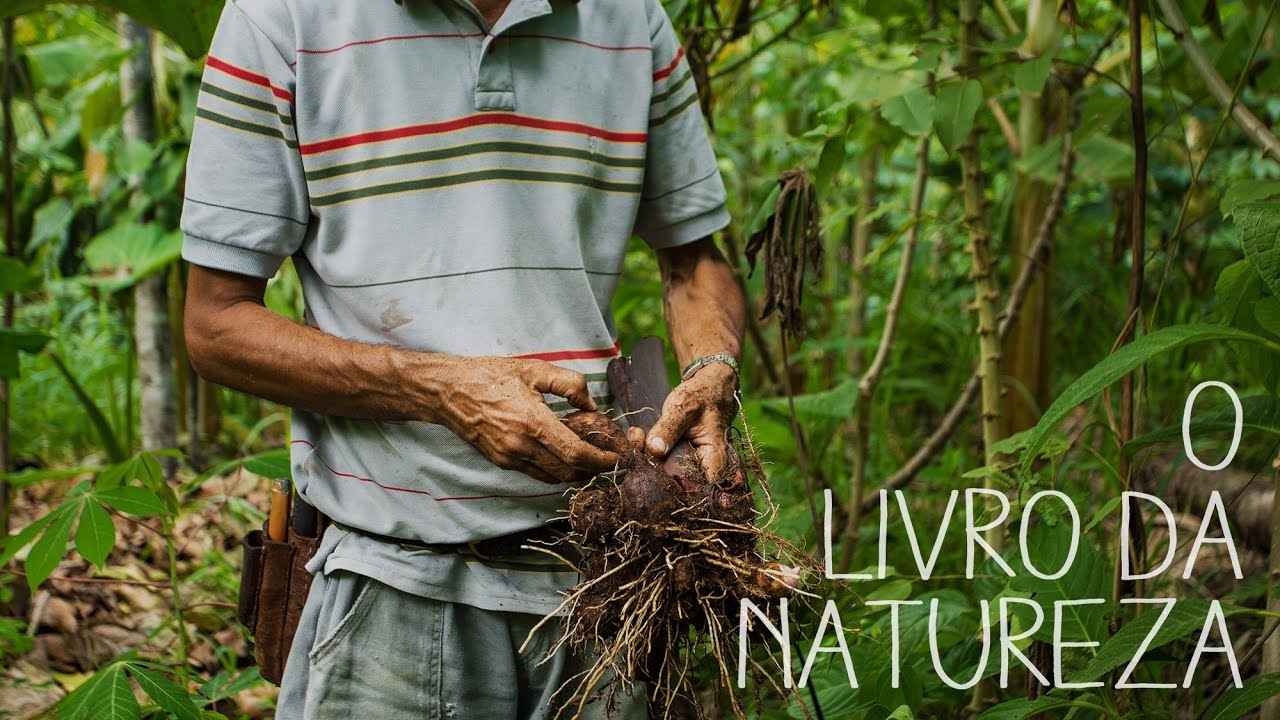O Livro da Natureza (The Book of Nature)