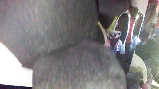 Black Cats Math Problem