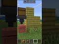"Copper Golem ke Sath Sabse Bada Prank 😱 Minecraft Masti!"