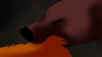 Animal MAP Part 8 & 9