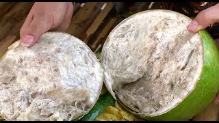 Segarnya Rujak Buah Maja | RAGAM INDONESIA (22/08/19)