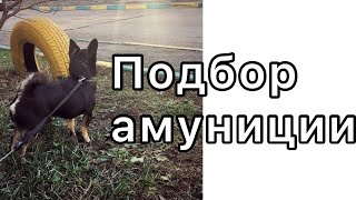 КАК ПОДОБРАТЬ АМУНИЦИЮ ДЛЯ СОБАКИ/ ИЗМЕРЯЕМ СОБАКУ