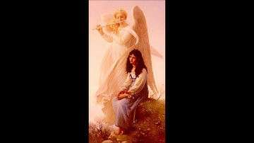 Vivaldi - Sinfonia for strings in E minor (RV 131); Franz Dvorak (1862-1927)