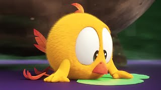 O que é isso, Chicky? | Onde está Chicky? | Pintinho amarelinho | Coleção desenhos animados Infantil