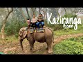 Kaziranga | Jeep & Elephant Safari | Seuj  Nivas Homestay | Northeast - Assam Travel Vlog