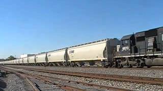 Ns 6806 Leads Ns 51Q At Hair