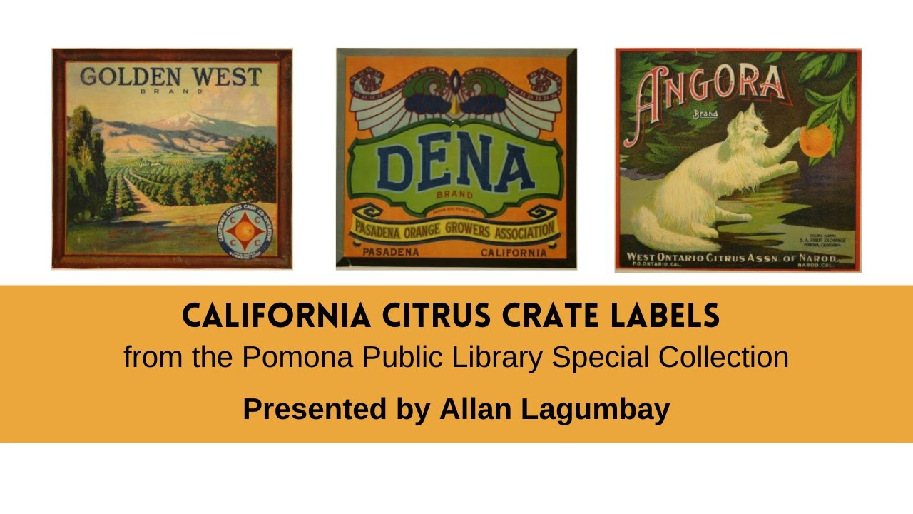 Crystal Brand, Riverside, California, Citrus Crate Label (100