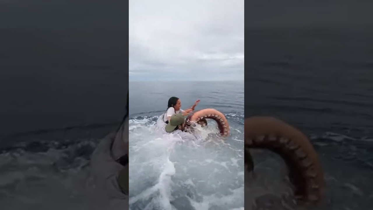 Giant Squid Drags Woman Off The Boat!Giant Unbelievable Ocean Encounter 
