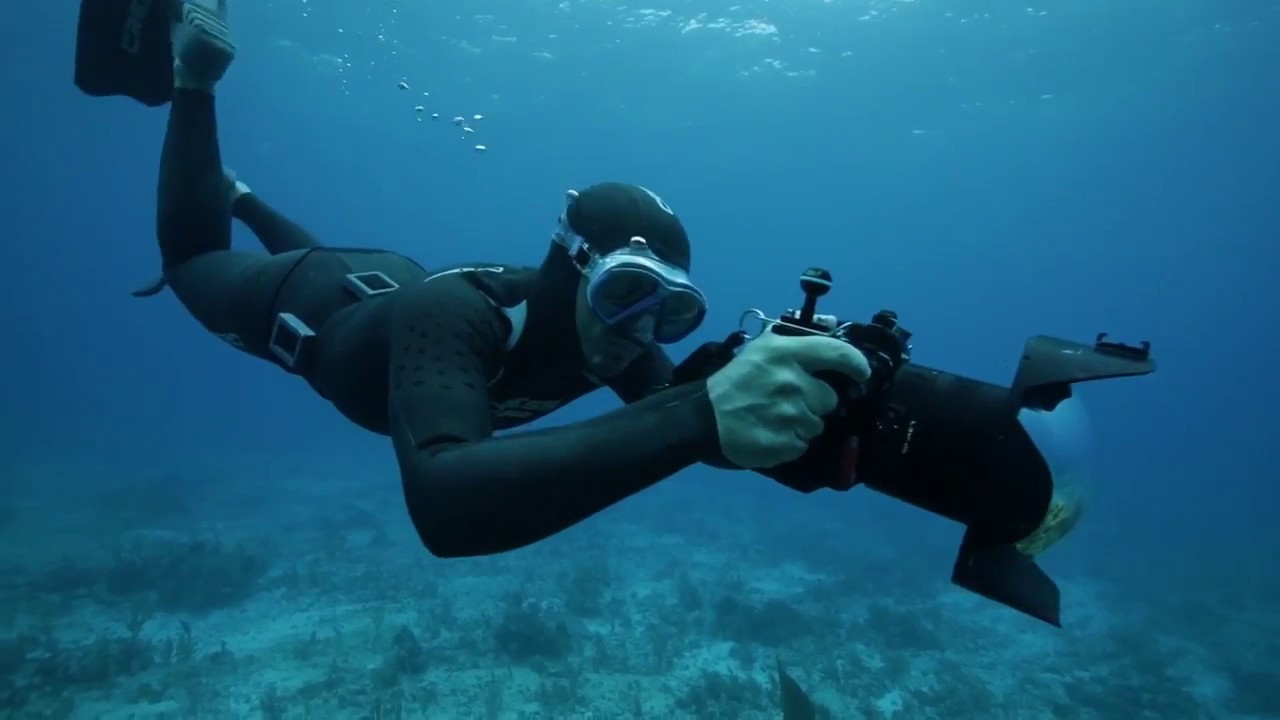 The SeaSeekers  The Explorer   Roberto Ochoa