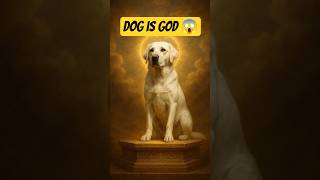 DOG ko ulta karo… GOD ban jata hai 🐶✨❤️ #shorts