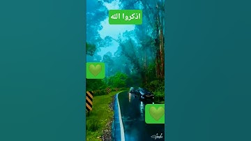 سوره الاخلاص بصوت القارئ الشيخ فارس عباد #المصحف