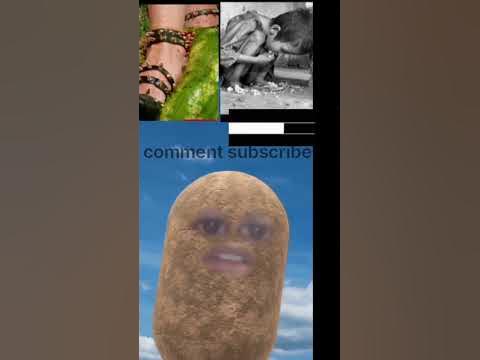 why people waste food?? - YouTube