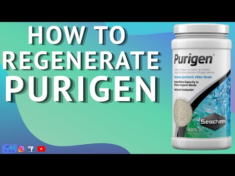 REGENERATING PURIGEN 