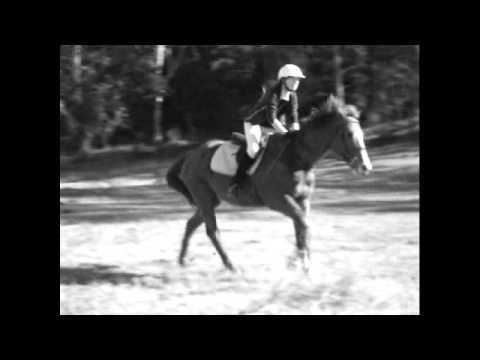 My darling horse Chief :D (Wild horses-Natasha Bed...