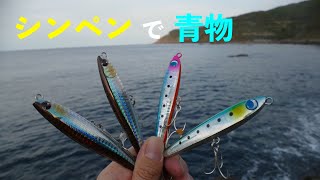 シンキングペンシルを使った青物の狙い方 使い方 ロックショア Youtube