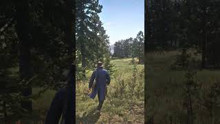 RDR2 Daytime Glimpse — Stunning 4K Graphics |Red Dead Redemption 2 #Shorts #RDR2 #GamingShorts #Game