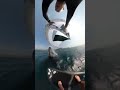 Whale Body Slams Surfer