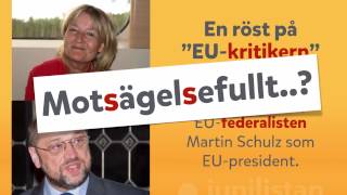 Junilistan granskar: Marita Ulvskog & Schulz