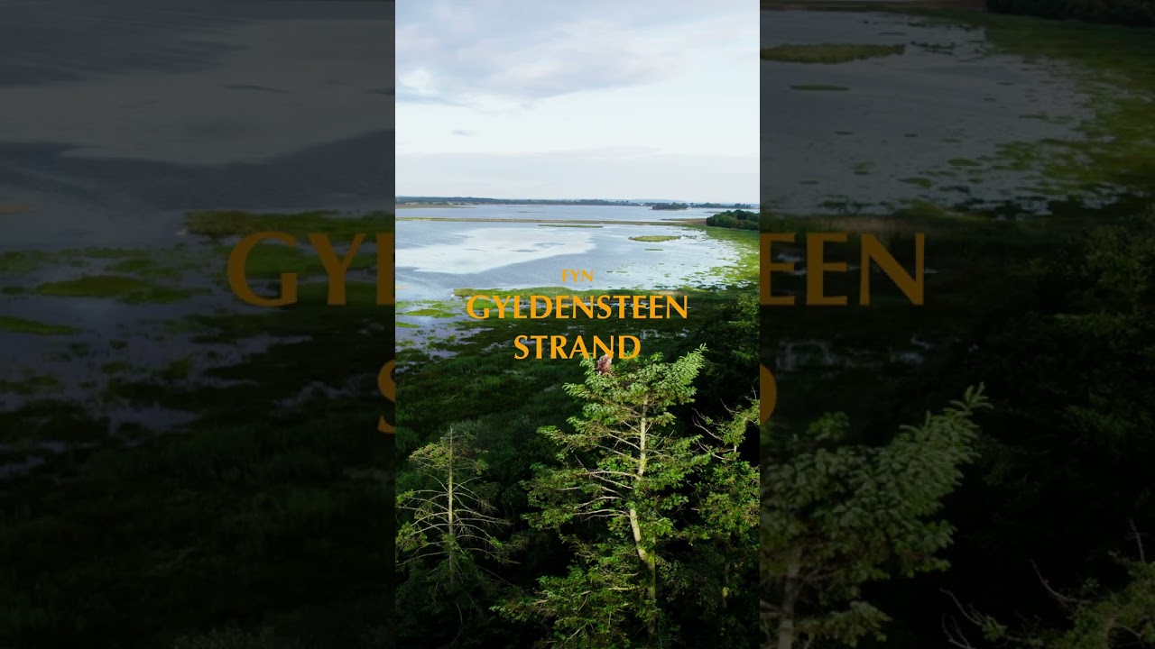 3 steder du skal opleve i Danmark denne sommer