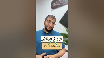 التجويد الميسّر | أحكام الميم الساكنة | بدر فاضل