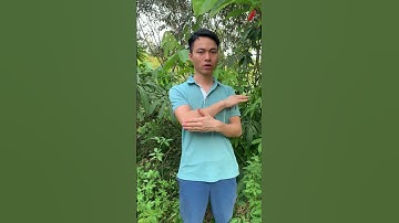 cây gối hạc #thoaihoakhopgoi #thoaihoacotsong #daunhucxuongkhop #viemkhop #dongy #thaoduoc #shorts