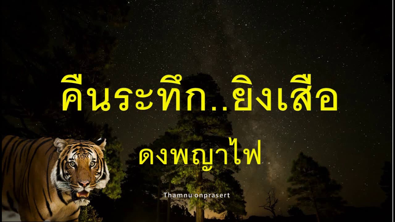 คืนระทึก..ยิงเสือ!