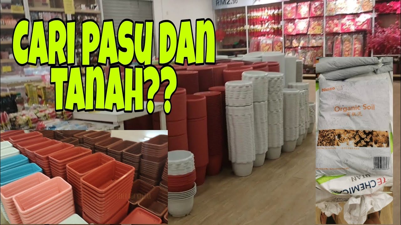 Cuci Mata Tengok Pasu Di Ninso Jimat Murah Hanya Rm2 30 Youtube