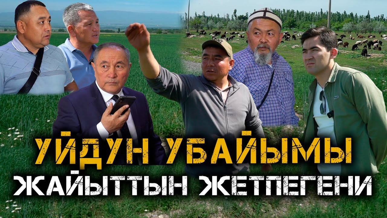 Чуй районундагы ЖАЙЫТ чыры // Уй баккандардын убайымы // Темирлан Сейитбек уулу