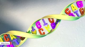 Microsoft Successfully Stored Music Video On DNA Strands