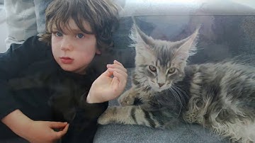 Protecting the Protector, Hardening Machine Learning Defenses Against Adversarial Attacks