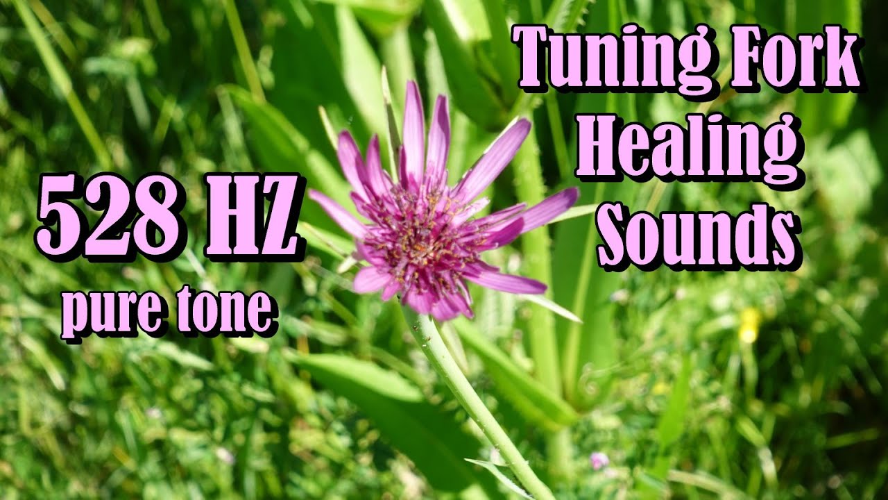 Tuning Fork 528 HZ Love Frequency Pure Tone Sounds 🌺 Healing Sound Bath ...