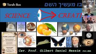 Ahavat Hashem 30 06 2026 video1336842877