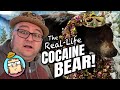The Real Life Cocaine Bear!  - Kentucky Horse Park - International Museum of the Horse