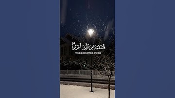 آيات من القرآن الكريم 💞 سورة الروم 💞 الآية 47