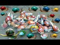 Hunting snail, mencari siput dan keong di sungai, dapat siput, keong, kelomang, main air, seru