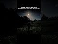 real one feels fake - Arthur morgan #rdr2 #peaceful #nature #view #quote #shorts