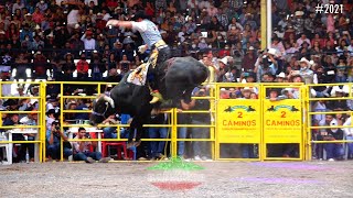 PUÑOS DE PLATINO GO VS PATITAS CORTAS DE CHARO MICHOACÁN